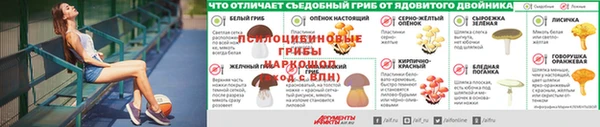 мяу мяу мука Магас