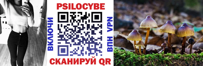 Псилоцибиновые грибы мицелий  как найти   Медвежьегорск 